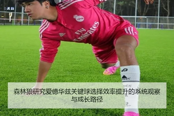 森林狼研究爱德华兹关键球选择效率提升的系统观察与成长路径